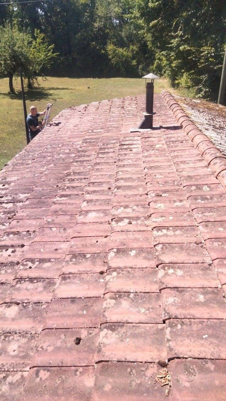 Toiture en tuiles ternes et lichenées vue en enfilade, avant démoussage